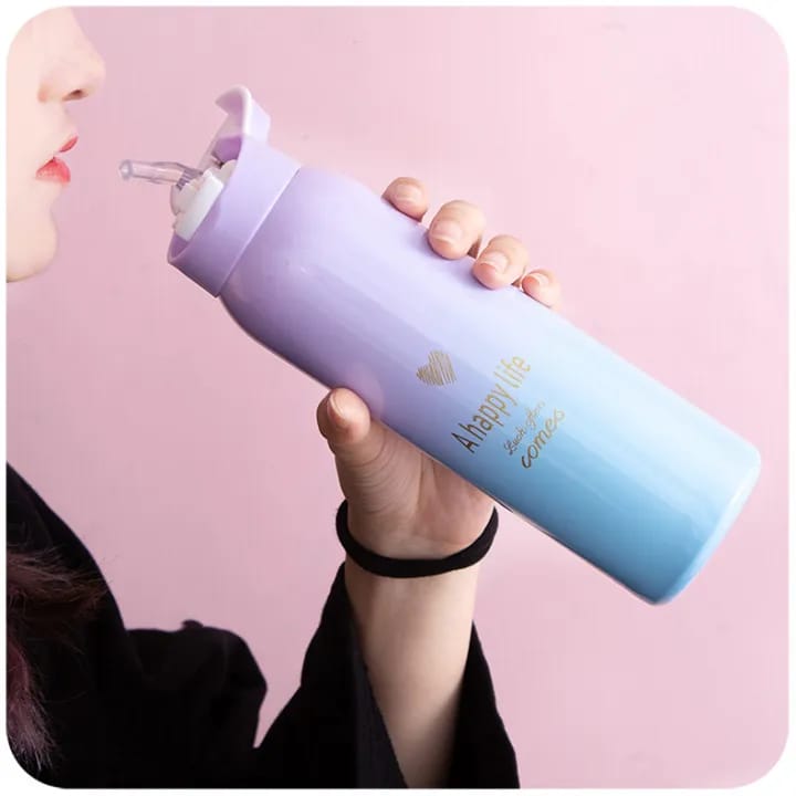Premium Pastel Ombré Insulated Stainless Steel Water Bottle – 500ml